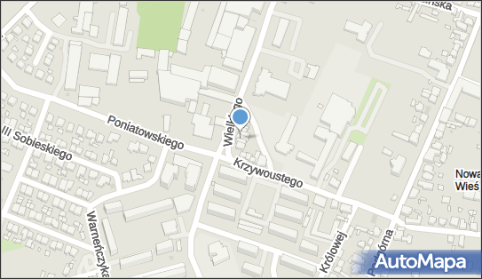 Bar Skorpion, Króla Kazimierza Wielkiego 17, Pleszew 63-300 - Przedsiębiorstwo, Firma, NIP: 6171172076