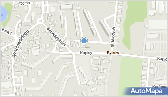 Bar Uniwersalny, ul. ALFREDA KAPICY 14, Siemianowice Śląskie 41-106 - Przedsiębiorstwo, Firma, NIP: 9540022814