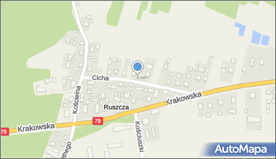 Bar Zajazd Niziałek Elżbieta i Mieczysław, Ruszcza 13, Ruszcza 28-230 - Przedsiębiorstwo, Firma, NIP: 8660005491