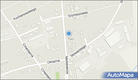 Barbara Borek, ul. Adama Mickiewicza 43, Kostrzyn 62-025 - Przedsiębiorstwo, Firma, NIP: 7861139016