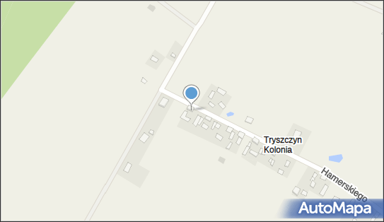 Barbara Brzóścikowska, Tryszczyn 125, Tryszczyn 86-011 - Przedsiębiorstwo, Firma, NIP: 9670502524