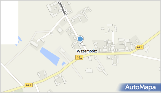 Barbara Stankowska - Działalność Gospodarcza, Wszembórz 41 62-306 - Przedsiębiorstwo, Firma, NIP: 7890000611