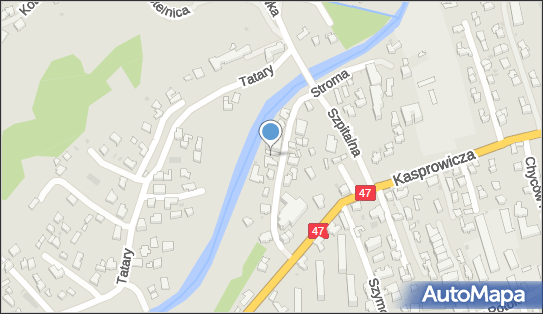 Bartłomiej Kozielski - Działalność Gospodarcza, ul. Stroma 15 34-500 - Przedsiębiorstwo, Firma, NIP: 7361378982