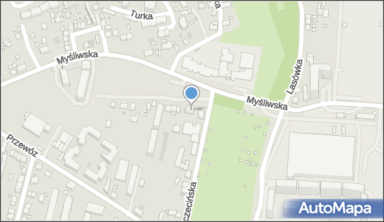 6792514969, Bartłomiej Styczeń Przewóz Osób 