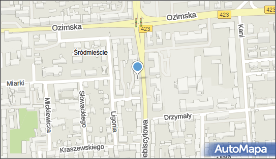 Bartosz Berezowski, Plebiscytowa 30, Opole 45-360 - Przedsiębiorstwo, Firma, NIP: 7542966961
