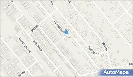 Bas Anna Szajda, Północna 63, Plewiska 62-064 - Przedsiębiorstwo, Firma, NIP: 7811632387