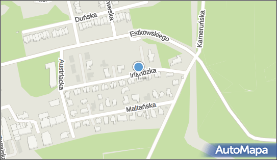 BDR, Izabela Korotko, ul. Irlandzka 107, Leszno 64-100 - Przedsiębiorstwo, Firma, NIP: 6981041377