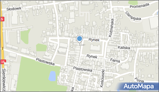 Beata Kempa Laboratorium Tech-Dent, Rynek 5, Krotoszyn 63-700 - Przedsiębiorstwo, Firma, NIP: 6211046918