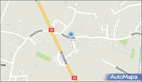 Beata Kozik Atex Firma Handlowo Usługowa, Akacjowa 10a 32-005 - Przedsiębiorstwo, Firma, NIP: 6831278385