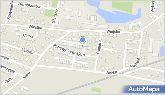 Beata Niedźwiecka, ul. Heleny Radlińskiej 24, Oleśnica 56-400 - Przedsiębiorstwo, Firma, NIP: 9111665902
