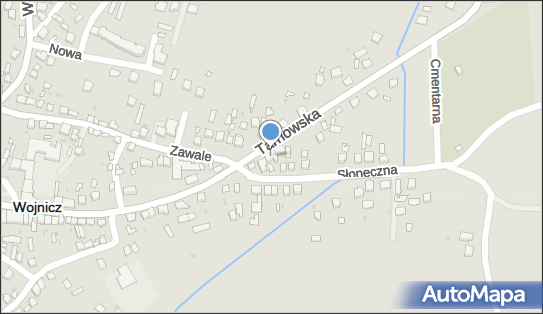 Beata Skóraś Firma Sas, Tarnowska 53, Wojnicz 32-830 - Przedsiębiorstwo, Firma, NIP: 7341097955