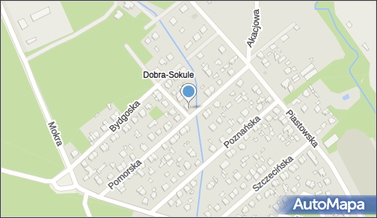 Beata Wasilewska - Działalność Gospodarcza, Toruńska 2 96-300 - Przedsiębiorstwo, Firma, NIP: 8381292161