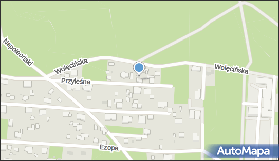 Bellew Zawierucha, Przyleśna 6, Warszawa/Wesoła 05-077 - Przedsiębiorstwo, Firma, numer telefonu