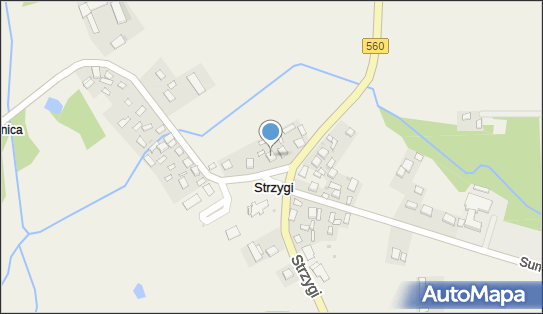Berberys -Pielęgnacja Zieleni -Michał Paterewicz, Strzygi 31 87-340 - Przedsiębiorstwo, Firma, NIP: 8741624732