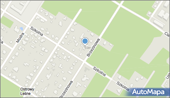 8882446385, BETACar Adam Lewandowski 