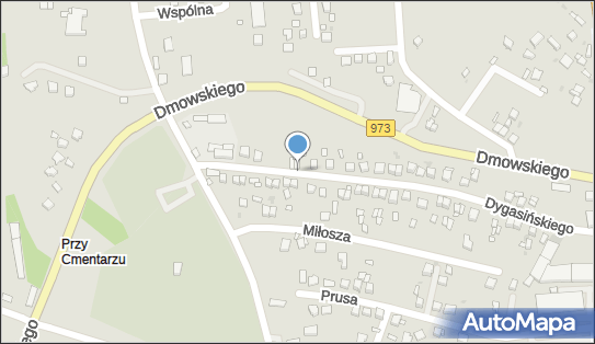 Betoniarstwo Nagrobkowe, ul. Adolfa Dygasińskiego 30, Busko-Zdrój 28-100 - Przedsiębiorstwo, Firma, NIP: 6551027104