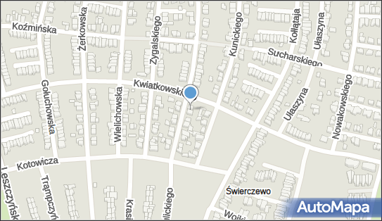 Bezpieczeństwo Firm - Remigiusz Dudek, ul. Jana Pietrusińskiego 39 61-418 - Przedsiębiorstwo, Firma, NIP: 7831074967