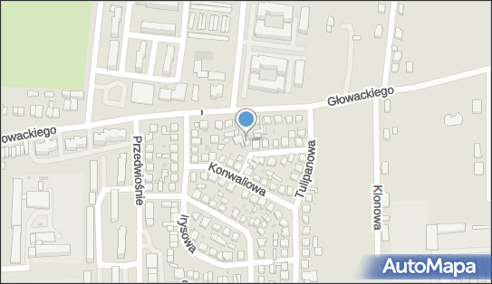 Bicardi Arkadiusz Król, Chryzantem 10, Brzeziny 95-060 - Przedsiębiorstwo, Firma, NIP: 8331134827