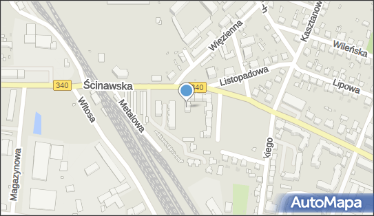 Bicz A., Wołów, ul. Ścinawska 11 A, Wołów 56-100 - Przedsiębiorstwo, Firma, NIP: 9880191119