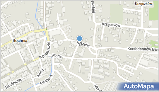 Big Idea Studio Projektowe Anna Mazanek, ul. Warzelnicza 5, Bochnia 32-700 - Przedsiębiorstwo, Firma, NIP: 6321968300