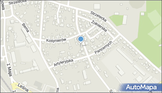 410356099, Wawrzyniak Zdzisława Krystyna Bioenergoterapeuta Zdzisława 