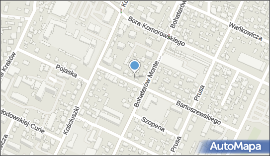 9181695831, Biuro Handlowe Oleszczak Tomasz, Wołoch Teresa 