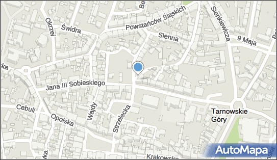 Biuro Podatkowe, ul. Strzelecka 9, Tarnowskie Góry 42-600 - Przedsiębiorstwo, Firma, numer telefonu, NIP: 6451007929