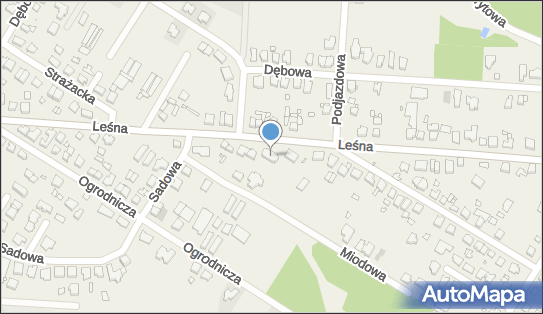 Biuro Rachunkowe Support, Leśna 46, Suchy Las 62-002 - Przedsiębiorstwo, Firma, NIP: 9721246055