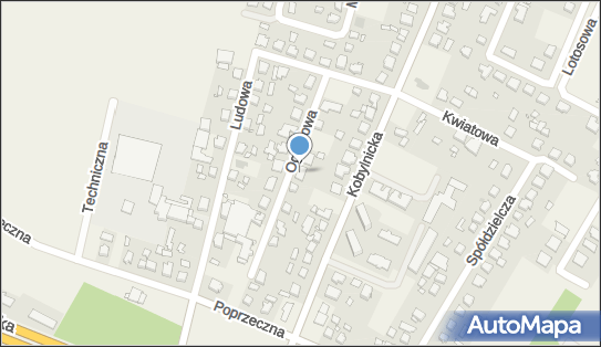 Biuro Rachunkowe Sylwia Duszyńska, Ogrodowa 11, Sady 62-080 - Przedsiębiorstwo, Firma, godziny otwarcia, NIP: 6971888008