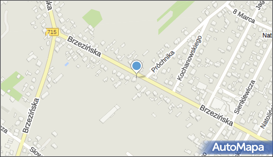 Biuro Usług Geodezyjno Kartograficznych, Brzezińska 82, Koluszki 95-040 - Przedsiębiorstwo, Firma, NIP: 7271025553