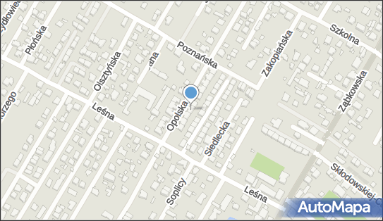 Biznes Druk, Opolska 23, Marki 05-260 - Przedsiębiorstwo, Firma