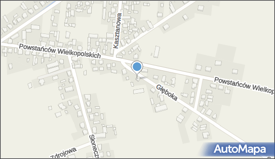 Blach-Pol Blacharstwo Samochodowe Wojciech Szczepański, Głęboka 2b 64-234 - Przedsiębiorstwo, Firma, NIP: 6981340890