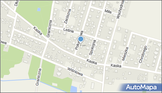 Blacharstwo i Lakiernictwo Samochodowe, ul. Południowa 49, Granice 96-515 - Przedsiębiorstwo, Firma, NIP: 8371165685