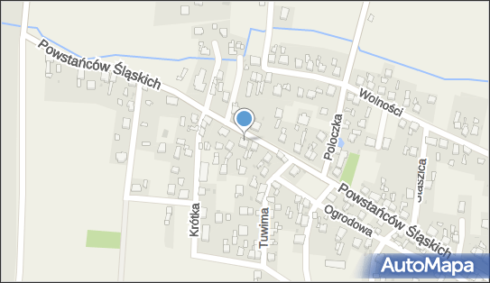 9690899720, Blacharstwo i Mechanika Wiechoczek Mirosław 