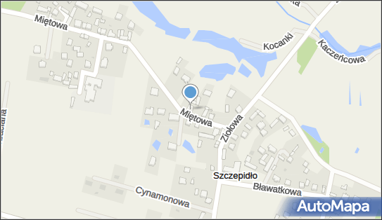 Blacharstwo Lakiernictwo Pojazdowe, Szczepidło 39a, Szczepidło 62-513 - Przedsiębiorstwo, Firma, NIP: 6651820500