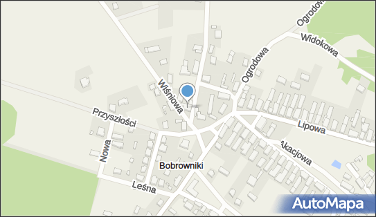 Blacharstwo Lakiernictwo Samochodowe Adam Jasiński, Wiśniowa 2 67-106 - Przedsiębiorstwo, Firma, NIP: 9251512021