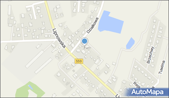 Blacharstwo Pojazdowe, Lipnowska 154, Maszewo Duże 09-400 - Przedsiębiorstwo, Firma, NIP: 7741088888
