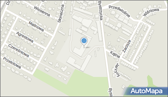 Blacharstwo Samochodowe Adam Prusaczyk, ul. Bystrzycka 33A 58-100 - Przedsiębiorstwo, Firma, NIP: 8841012750