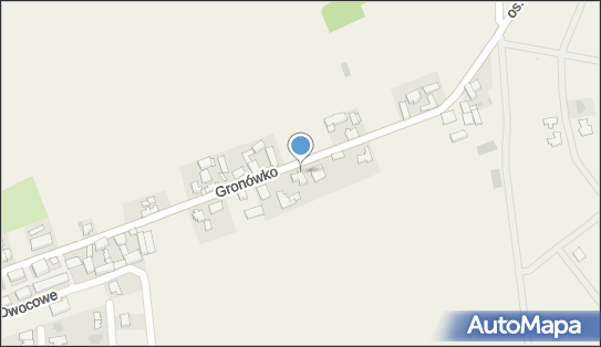 410352865, Blacharstwo Samochodowe Jarosław Majchrzak, Gronówko 