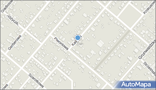 Blacharstwo Samochodowe, Kaliowa 53, Poznań 60-175 - Przedsiębiorstwo, Firma, numer telefonu, NIP: 7791043698
