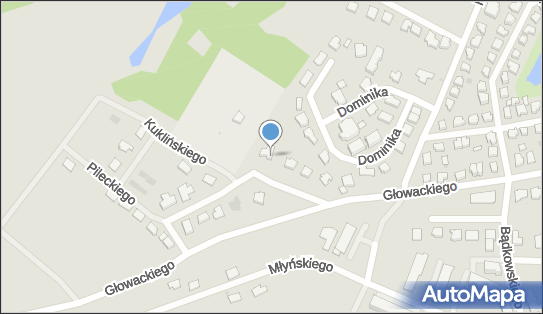 Blejk Drewno Rafał Bleja, ul. Bartosza Głowackiego 56, Tczew 83-110 - Przedsiębiorstwo, Firma, NIP: 5931808511