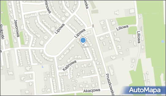 Blue Advantage Piotr Zawiślak, Kalinowa 31, Nadarzyn 05-830 - Przedsiębiorstwo, Firma, NIP: 1180762610