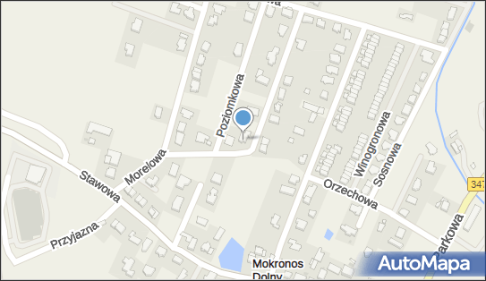 Bluecat Studio, ul. Brzoskwiniowa 16, Mokronos Dolny 55-080 - Przedsiębiorstwo, Firma, numer telefonu, NIP: 5241770972