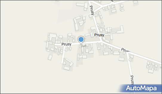 Błysk Brygida Strumiłowska, Prusy 38, Prusy 63-230 - Przedsiębiorstwo, Firma, NIP: 6172204855