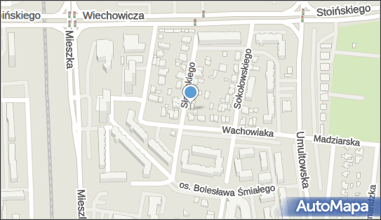 Bodmin Polska, Sławskiego Rogera 2b, Poznań 60-682 - Przedsiębiorstwo, Firma, numer telefonu, NIP: 9720041894