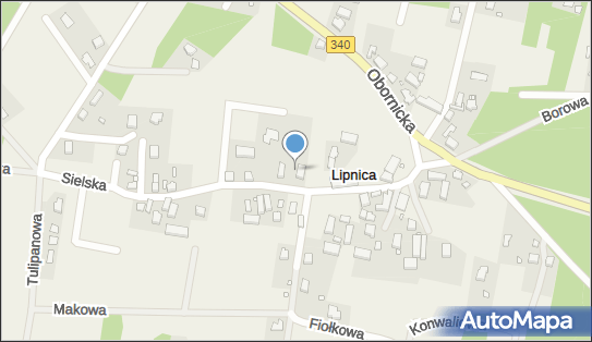Bogumiła Wójcik, Lipnica 11, Lipnica 56-100 - Przedsiębiorstwo, Firma, NIP: 6151105326