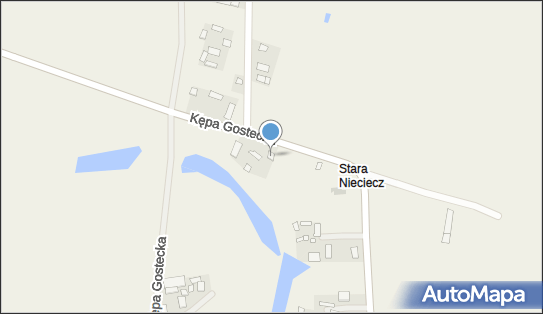 Borcuch Damian PPUH Pionier, Kępa Gostecka 21, Kępa Gostecka 24-335 - Przedsiębiorstwo, Firma, NIP: 5090010854