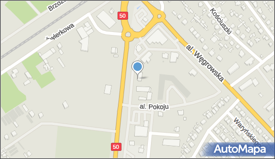 8241691665, Restauracja Borowianka Kamil Borowy 