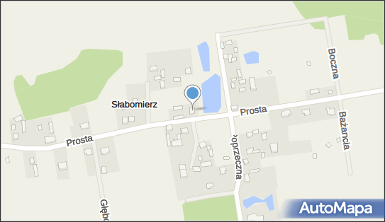 Borowiec Krzysztof, ul. Prosta 50, Słabomierz 96-325 - Przedsiębiorstwo, Firma, NIP: 8381201388