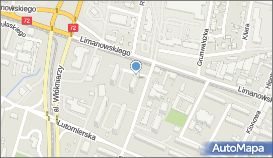 Borówka Paulina Krawczyk, ul. Bolesława Limanowskiego 152, Łódź 91-032 - Przedsiębiorstwo, Firma, NIP: 8672149853